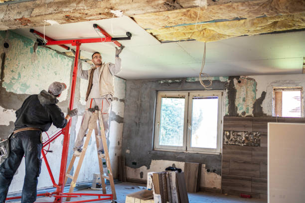 Best Insulation Maintenance and Repair in Edinburg, VA